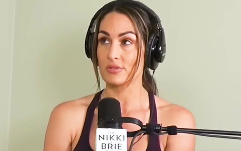 Nikki Bella Says She’s Single But “Not for Sale” After Brie Bella’s Matchmaking Attempt